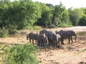 1. Yankari National Park