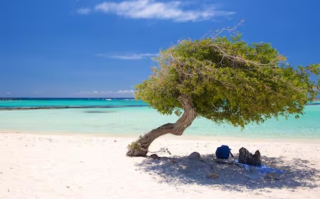Explore Aruba: Top Travel Destinations for 2024